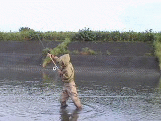 f0084561_16292559.gif