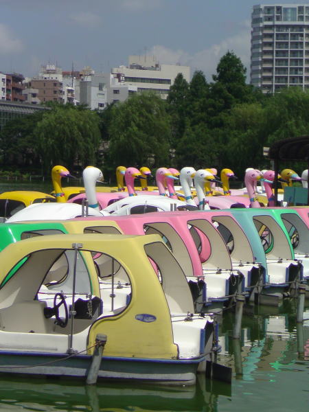 e0153367_15594171.jpg