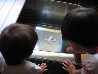 e0031568_12255455.jpg