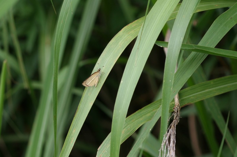 b0088772_20134567.jpg