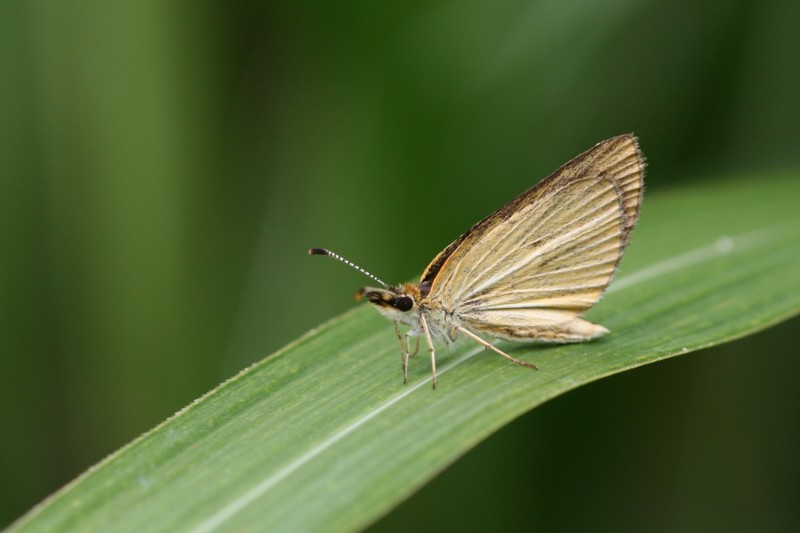 b0088772_20145357.jpg