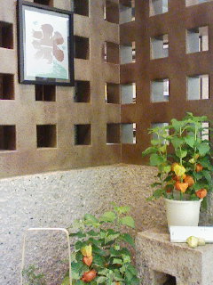 f0112873_14073.jpg