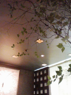 f0112873_152179.jpg