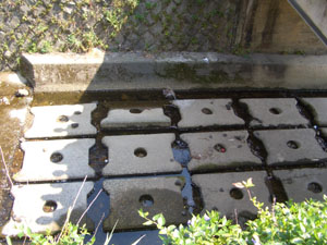 e0008880_2122508.jpg