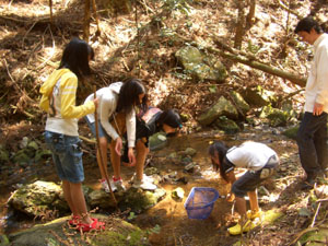 e0008880_21275860.jpg