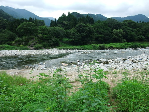 b0136381_10411640.jpg