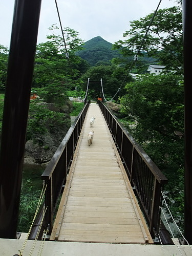 b0136381_106837.jpg