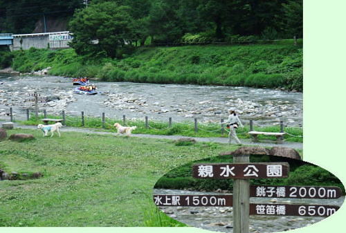 b0136381_11192628.jpg