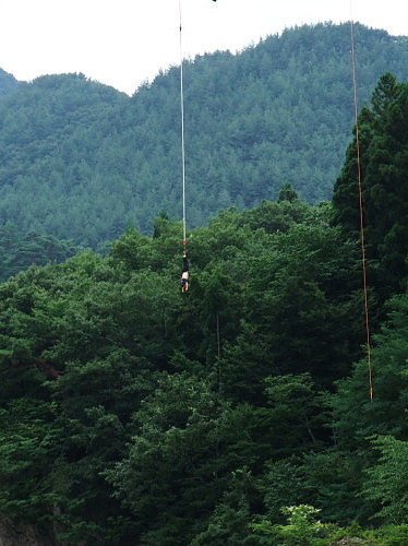 b0136381_1252257.jpg