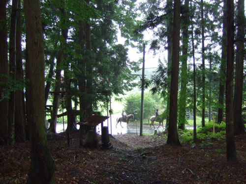 c0195281_17342498.jpg