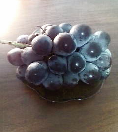c0076383_20454611.jpg