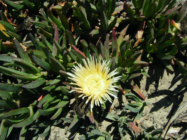 c0090390_14203076.jpg