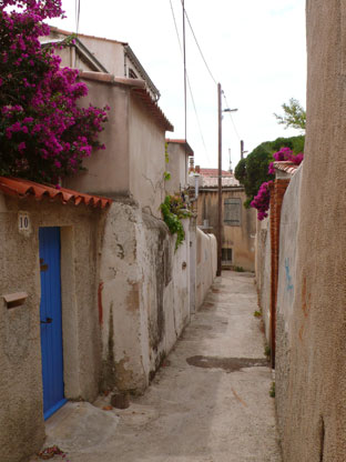 b0107891_4193155.jpg