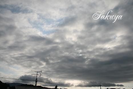 e0122194_8563790.jpg