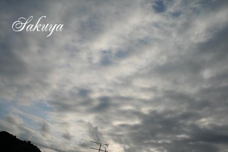 e0122194_8573270.jpg