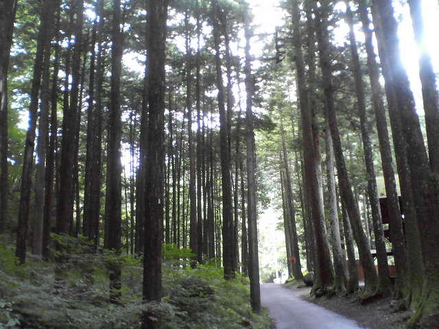 b0167999_012969.jpg