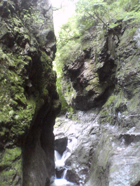 b0167999_0215056.jpg