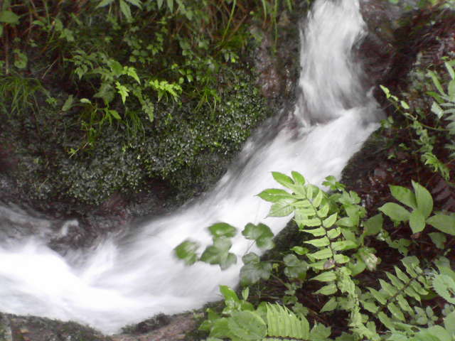 b0167999_064781.jpg