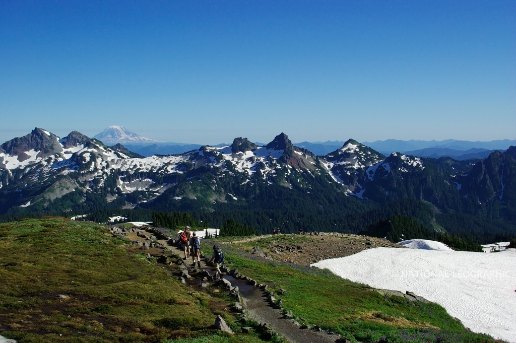 c0080101_1805245.jpg