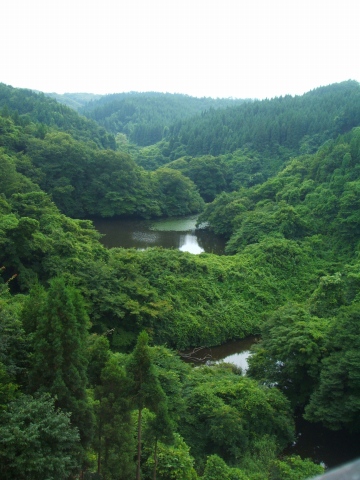 c0199401_17553260.jpg