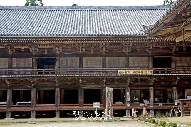 a0112402_13293061.jpg