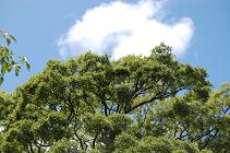 b0189603_14331961.jpg