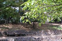 b0189603_1433575.jpg