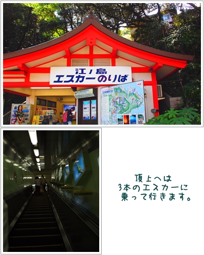 c0186410_820519.jpg