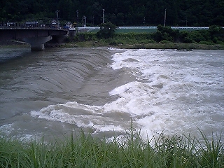 a0059315_20561222.jpg