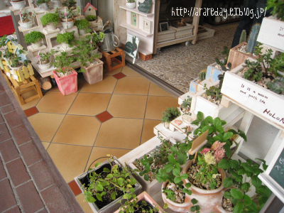 c0175715_158627.jpg