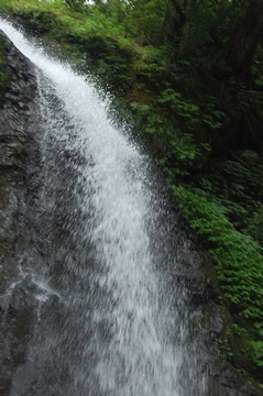 a0122819_217157.jpg