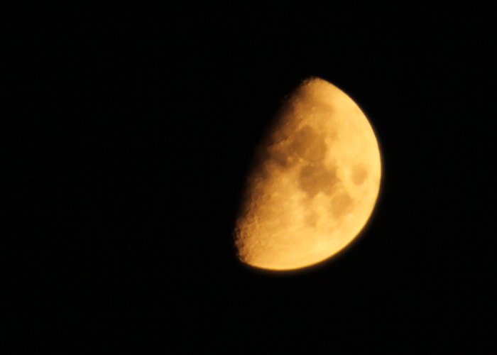 d0113821_9165477.jpg