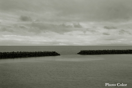 f0078127_8354294.jpg