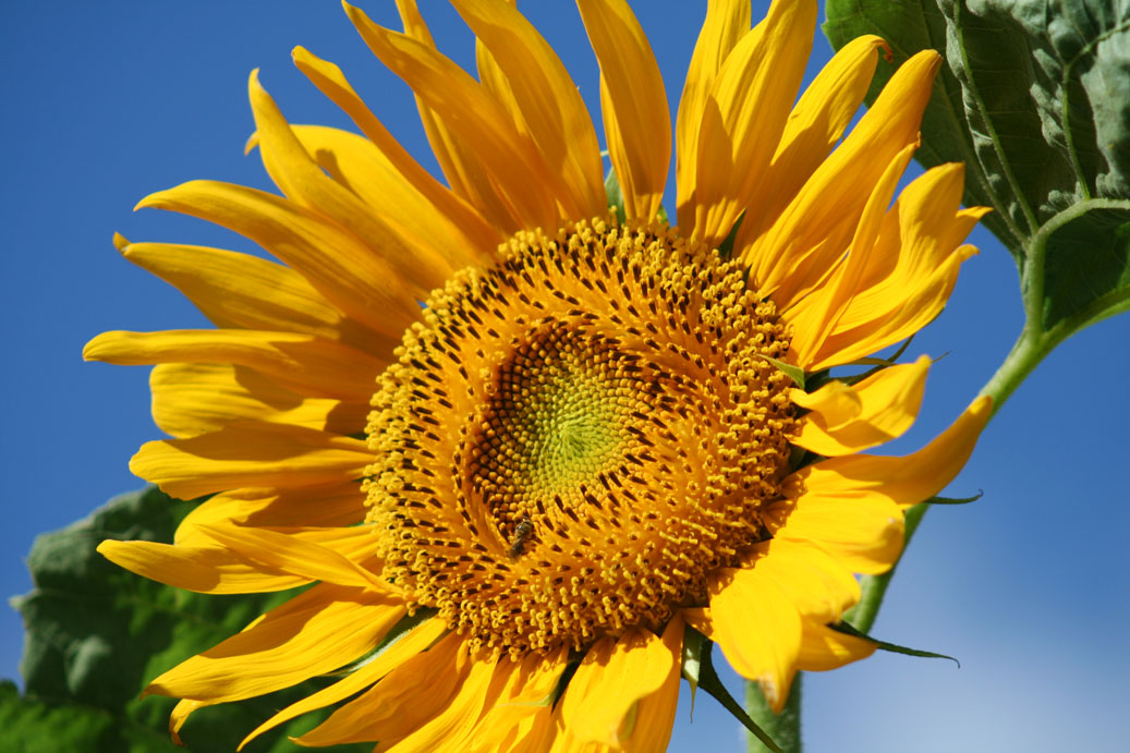 b0188228_22545133.jpg