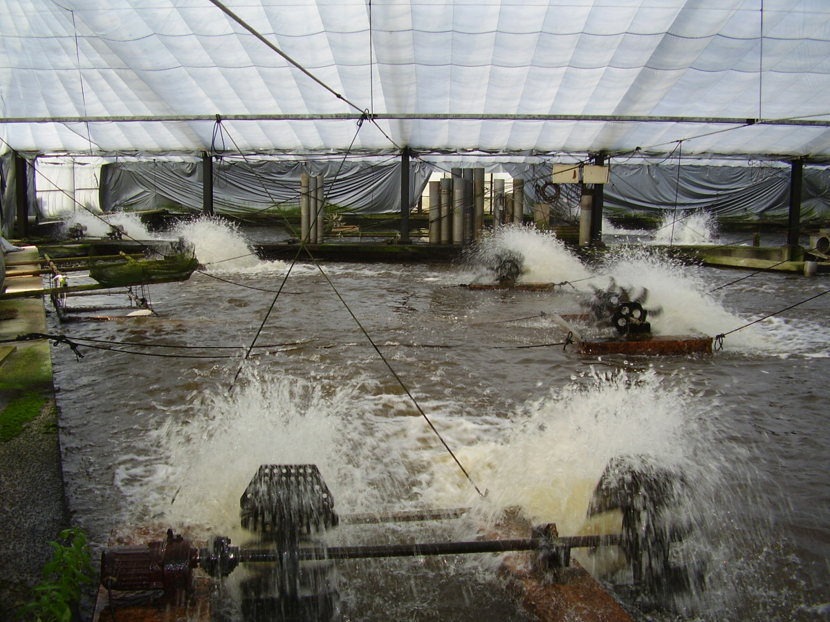 e0181028_11445611.jpg