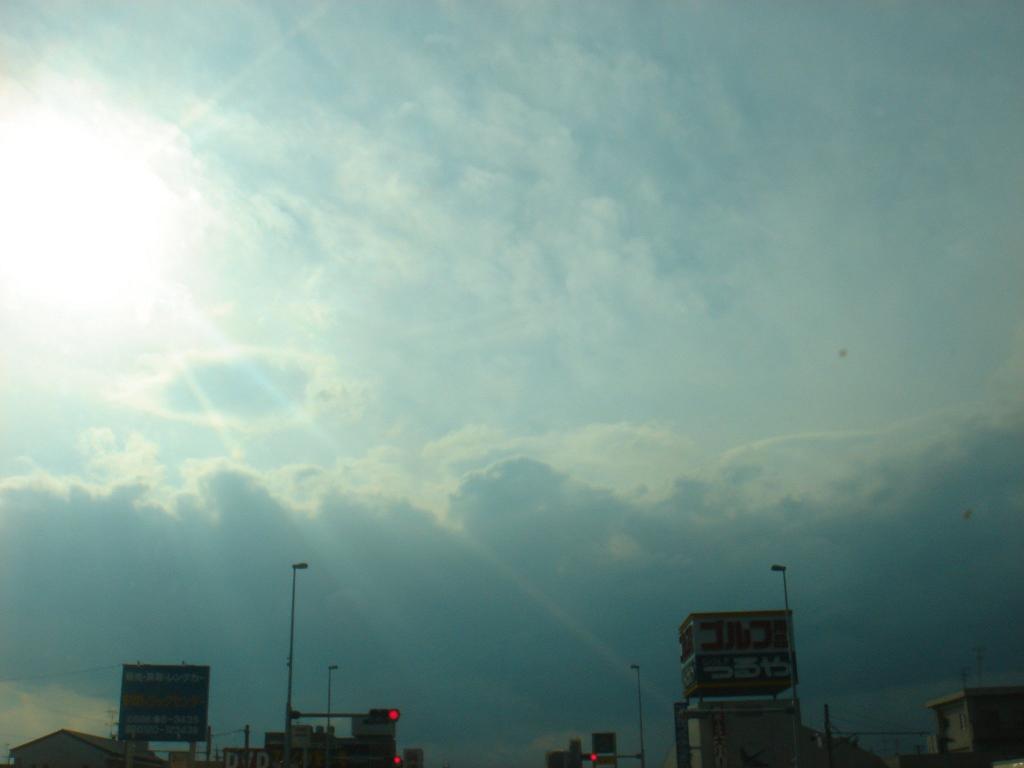 d0118729_2301038.jpg