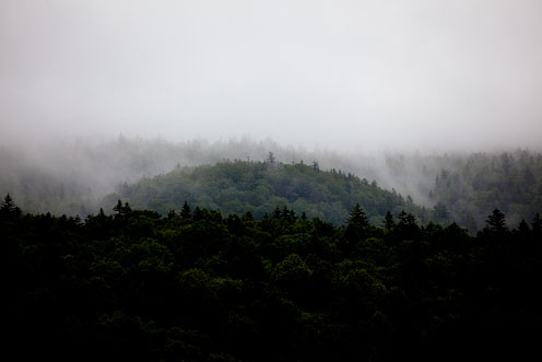 e0025030_1840591.jpg