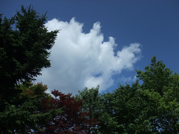 f0045630_11205260.jpg