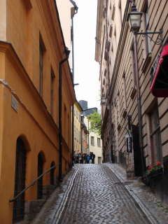 f0095431_23525666.jpg