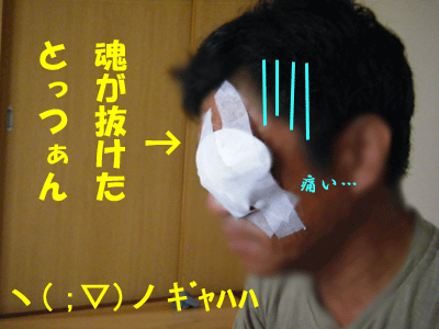 f0008935_865693.gif