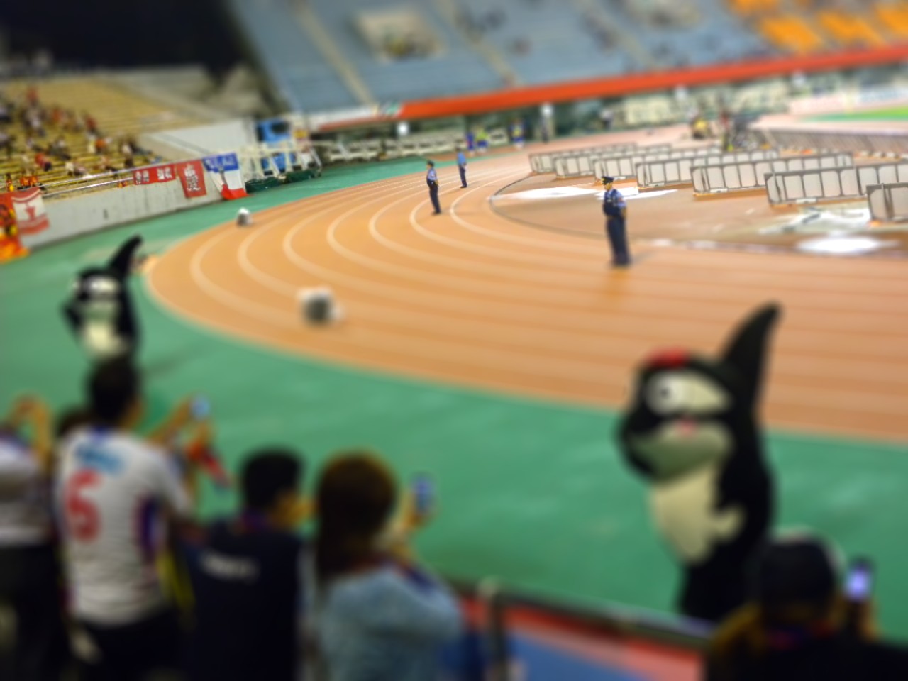 a0035942_0101516.jpg