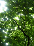 b0157246_2227266.jpg