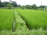 b0157246_22443546.jpg