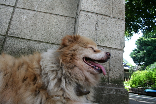 a0048851_8173861.jpg