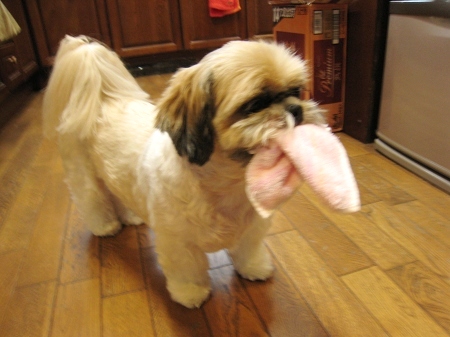 c0043751_0293563.jpg