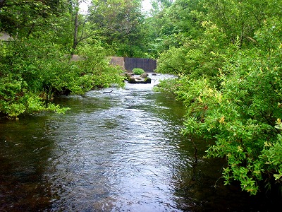 c0097652_20151879.jpg