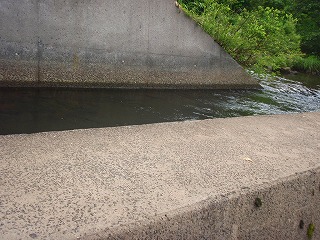 c0097652_202405.jpg