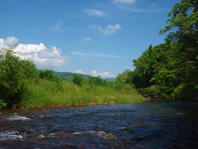 c0097652_2056838.jpg