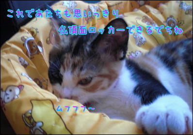 d0139352_1165875.jpg