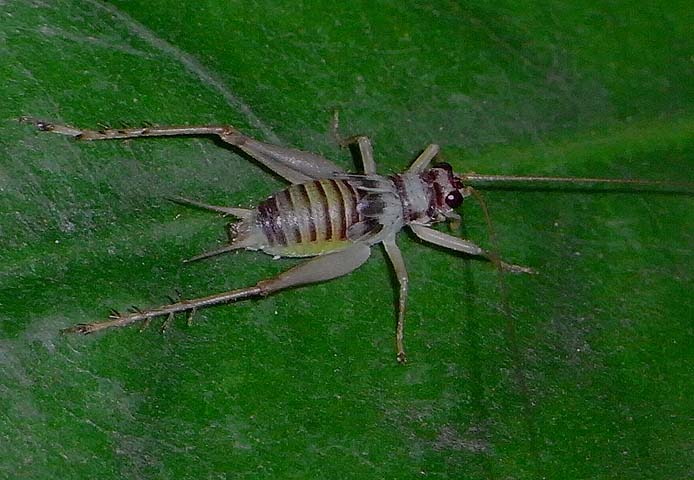 d0146854_23485534.jpg